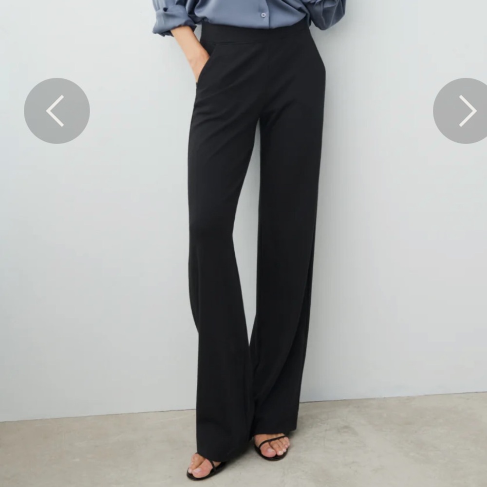 High Hopes Pant by AYR